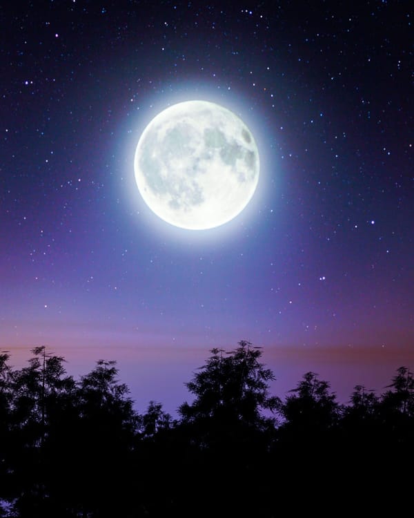 Moon Walks