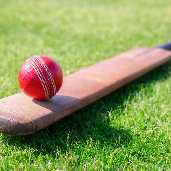 Cricket fun for kids and toddlers in Reading
