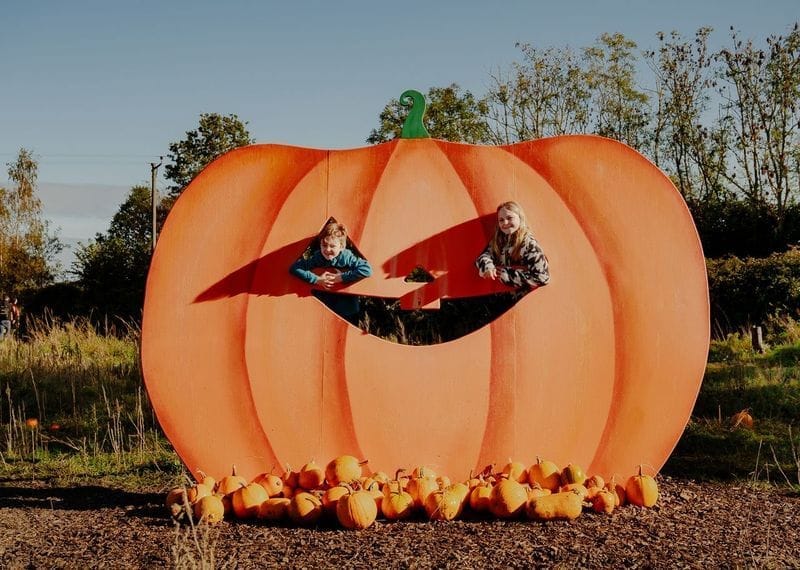 Wasing Pick Your Own Pumpkins - image 1