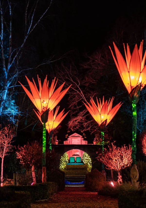 Once Upon a Time’ Illuminated Trail
