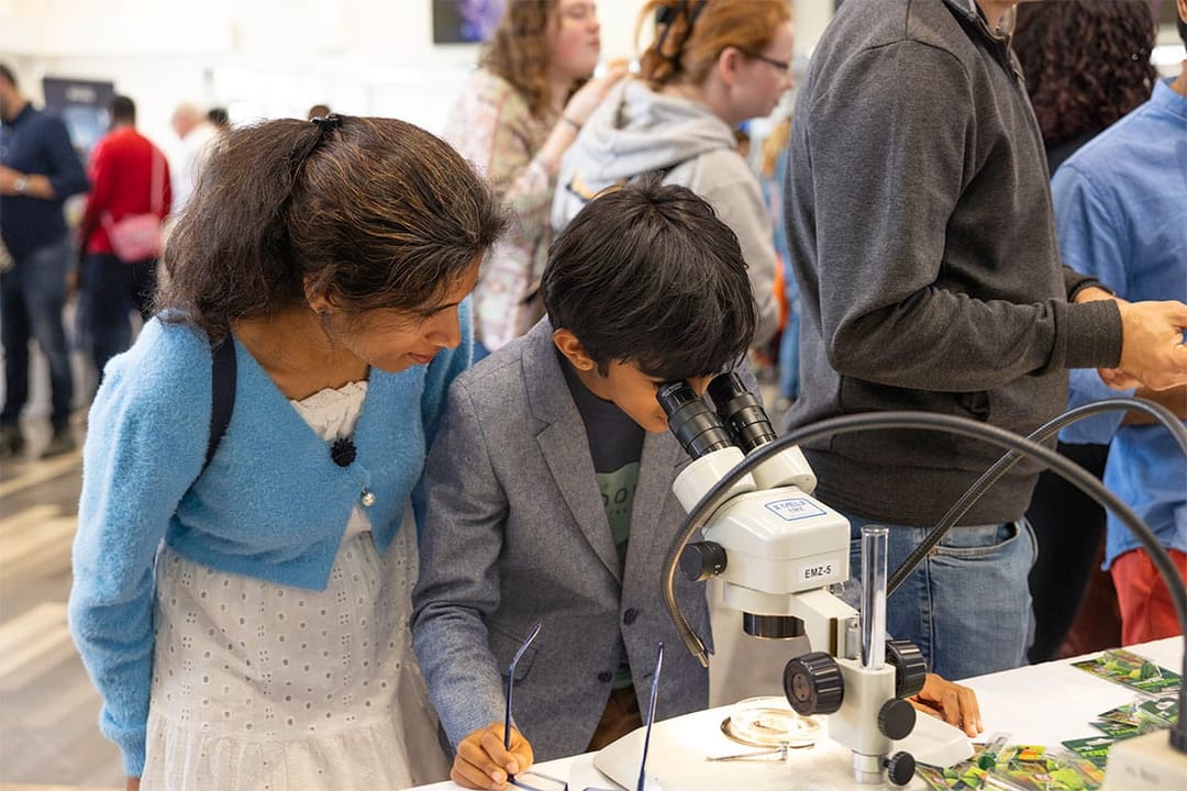 University of Reading Community Festival 2025 - image 2