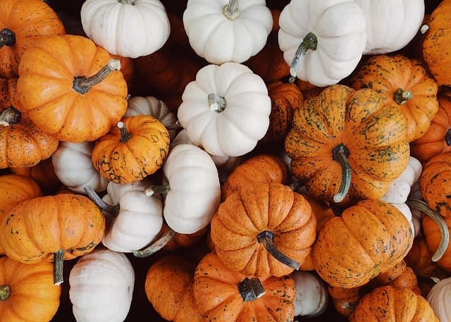 Pumpkin Picking and Halloween Events near Reading