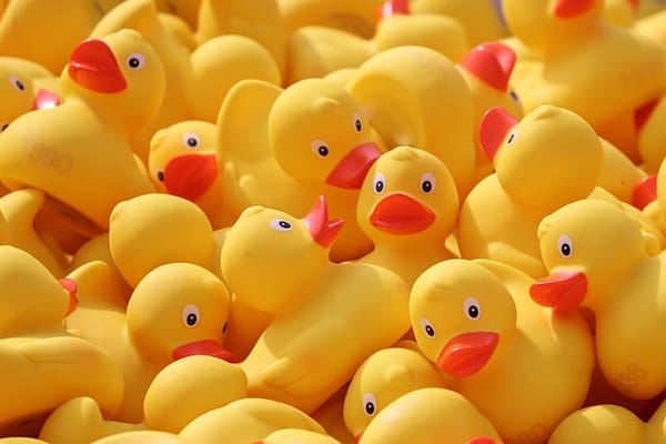 Reading Duck Race