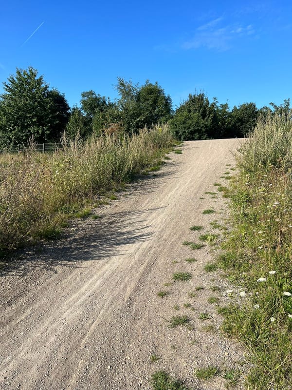 Paddick Drive BMX Track