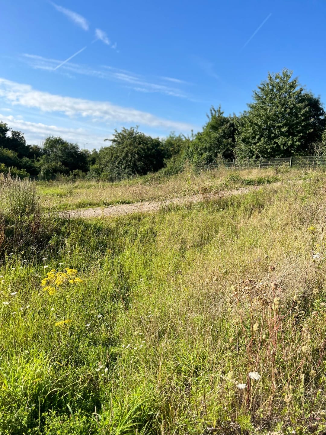 Paddick Drive BMX Track - image 1