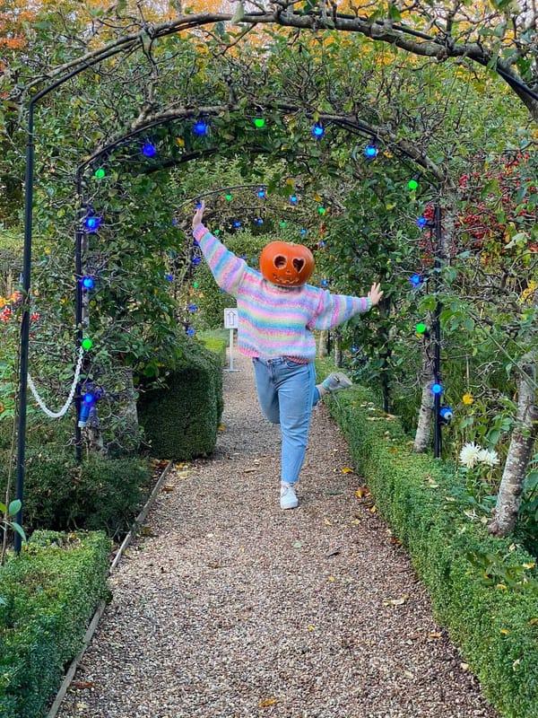 The Halloween Pumpkin Patch