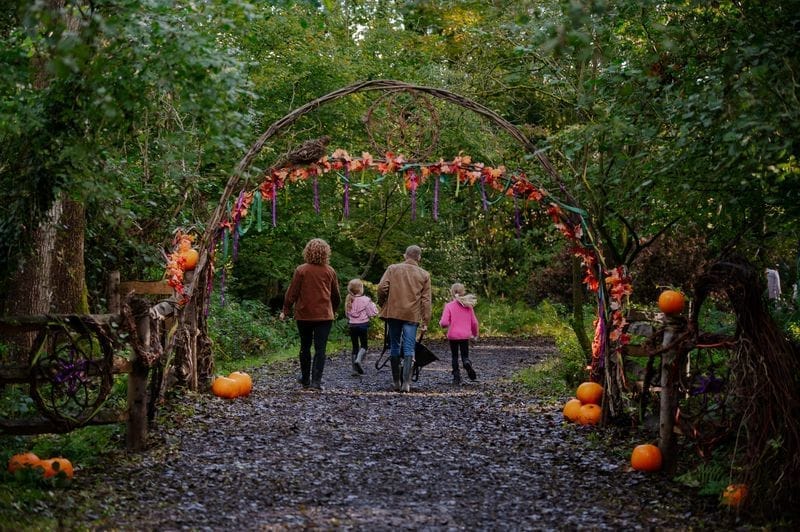 Wasing Pick Your Own Pumpkins - image 1