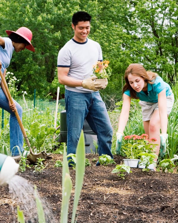 Whitley Wood Community Garden