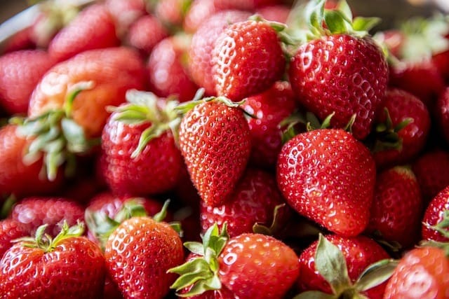 PYO Farms near Reading