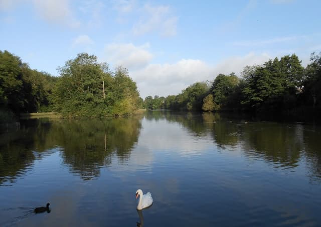 Maiden Erlegh Nature Reserve