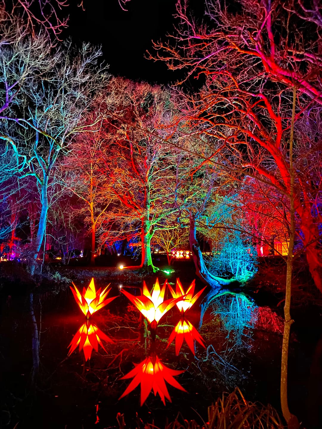 West Green House Gardens  - image 1