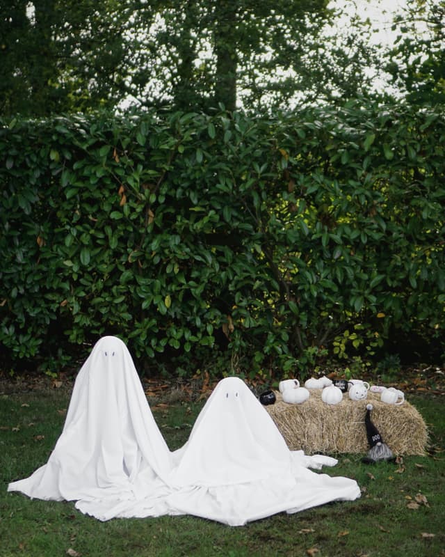 Trick or Treat Sessions